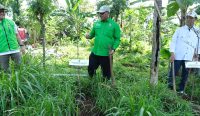 Samsul Hidayat, saat tanam pohon penghijauan