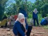 Ketua Kopri PC PMII Pasuruan, Iradatus Sholiha saat menanam pohon mangga