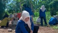 Ketua Kopri PC PMII Pasuruan, Iradatus Sholiha saat menanam pohon mangga